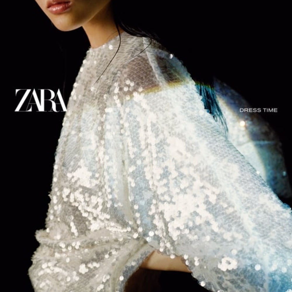 ZARA SEQUIN LONG SLEEVE BLOUSE